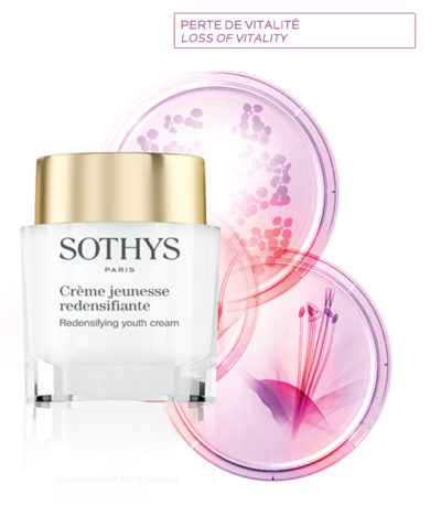 Sothys - Visage - Soins Équilibrants - Ligne Anti-Âge - Crème Jeunesse Redensifiante